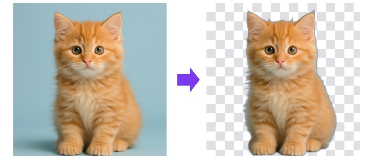 Pet photo before and after background removal